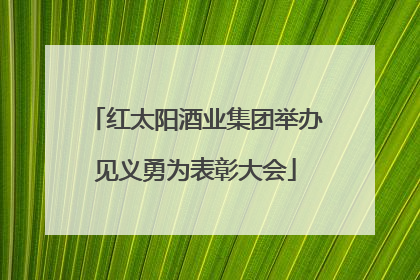 红太阳酒业集团举办见义勇为表彰大会